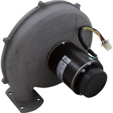 Blower Kit, Pentair MasterTemp 300, Nat. : 460757 - StaRite/Pentair - 788379726782 - PartsForSpas.com