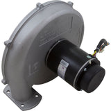 Blower Kit, Pentair MasterTemp 175/200/Max-E-Therm 200, Nat. : 77707-0251 - StaRite/Pentair - 788379787660 - PartsForSpas.com