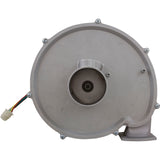 Blower Kit, Pentair MasterTemp 175/200/Max-E-Therm 200, Nat. : 77707-0251 - StaRite/Pentair - 788379787660 - PartsForSpas.com