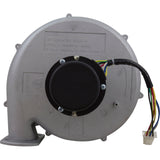 Blower Kit, Pentair MasterTemp 175/200/Max-E-Therm 200, Nat. : 77707-0251 - StaRite/Pentair - 788379787660 - PartsForSpas.com