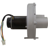 Blower Kit, Pentair MasterTemp 175/200/Max-E-Therm 200, Nat. : 77707-0251 - StaRite/Pentair - 788379787660 - PartsForSpas.com