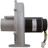 Blower Kit, Pentair MasterTemp 175/200/Max-E-Therm 200, Nat. : 77707-0251 - StaRite/Pentair - 788379787660 - PartsForSpas.com