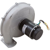 Blower Kit, Pentair Max-E-Therm 333, LP : 77707-0255 - StaRite/Pentair - 788379785659 - PartsForSpas.com