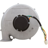 Blower Kit, Pentair Max-E-Therm 333, LP : 77707-0255 - StaRite/Pentair - 788379785659 - PartsForSpas.com
