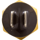 Hi Limit Switch, Pentair MasterTemp 125 : 474367Z - Pentair - 788379865269 - PartsForSpas.com