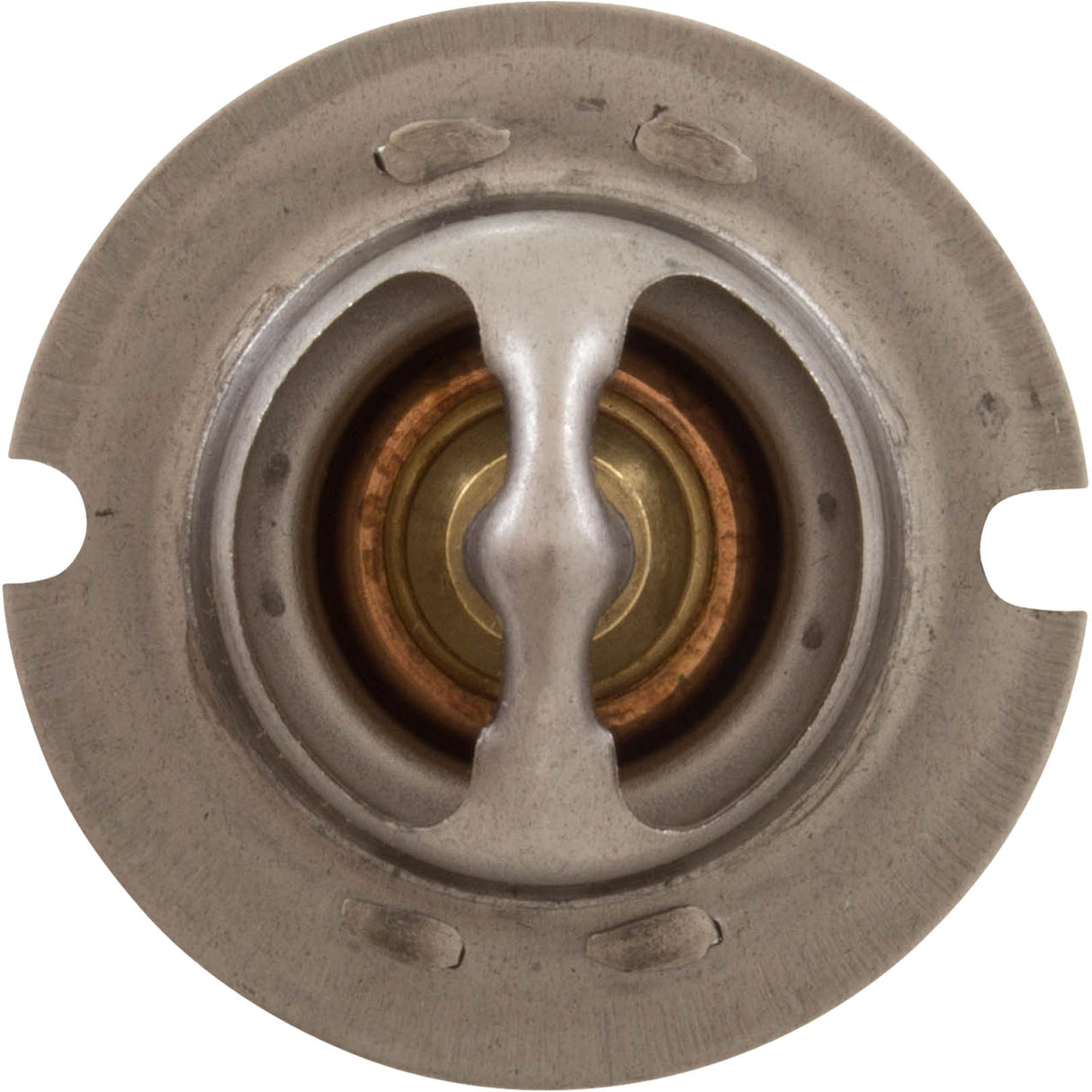Thermal Regulator, Pentair MasterTemp 125 : 474989 - Pentair - 788379865252 - PartsForSpas.com