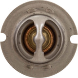 Thermal Regulator, Pentair MasterTemp 125 : 474989 - Pentair - 788379865252 - PartsForSpas.com