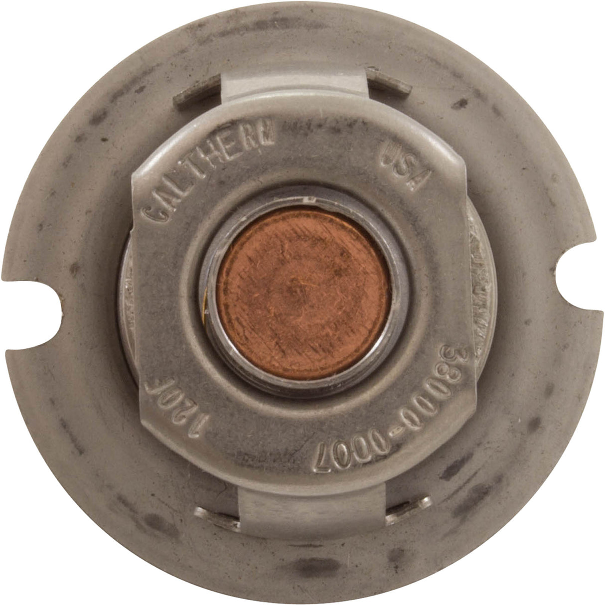 Thermal Regulator, Pentair MasterTemp 125 : 474989 - Pentair - 788379865252 - PartsForSpas.com