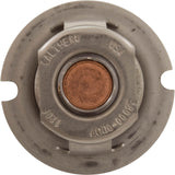 Thermal Regulator, Pentair MasterTemp 125 : 474989 - Pentair - 788379865252 - PartsForSpas.com