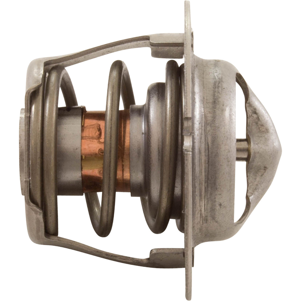 Thermal Regulator, Pentair MasterTemp 125 : 474989 - Pentair - 788379865252 - PartsForSpas.com