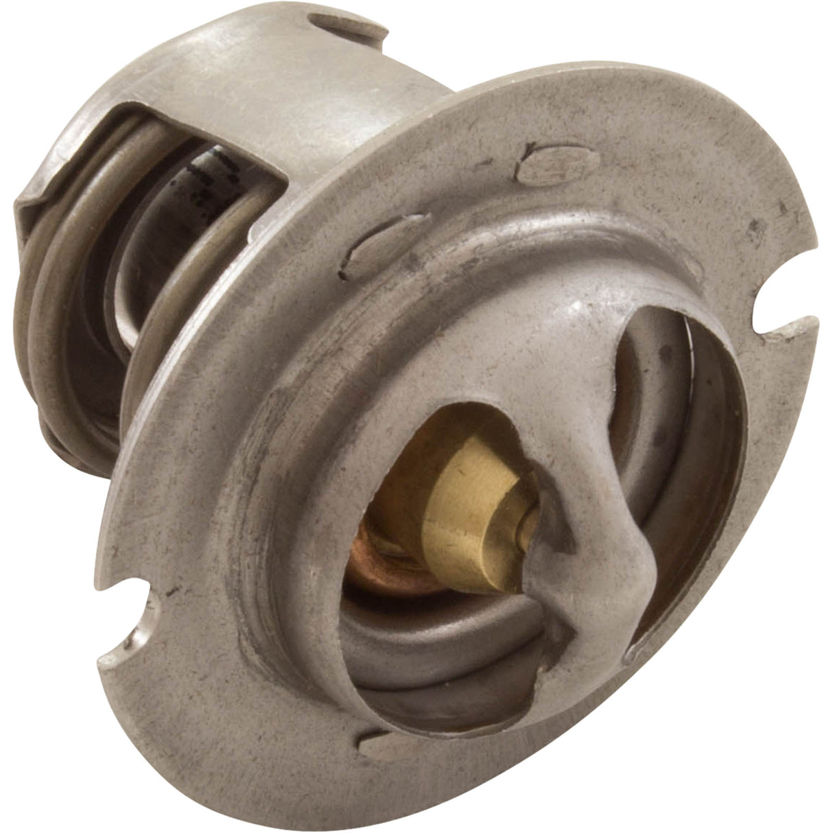 Thermal Regulator, Pentair MasterTemp 125 : 474989 - Pentair - 788379865252 - PartsForSpas.com