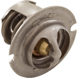 Thermal Regulator, Pentair MasterTemp 125 : 474989 - Pentair - 788379865252 - PartsForSpas.com