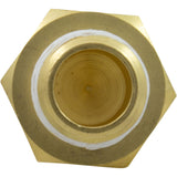 Automatic Gas Shutoff Switch, Pentair MasterTemp 125 : 474368Z - Pentair - 788379865276 - PartsForSpas.com