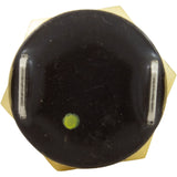Automatic Gas Shutoff Switch, Pentair MasterTemp 125 : 474368Z - Pentair - 788379865276 - PartsForSpas.com
