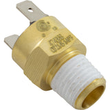 Automatic Gas Shutoff Switch, Pentair MasterTemp 125 : 474368Z - Pentair - 788379865276 - PartsForSpas.com