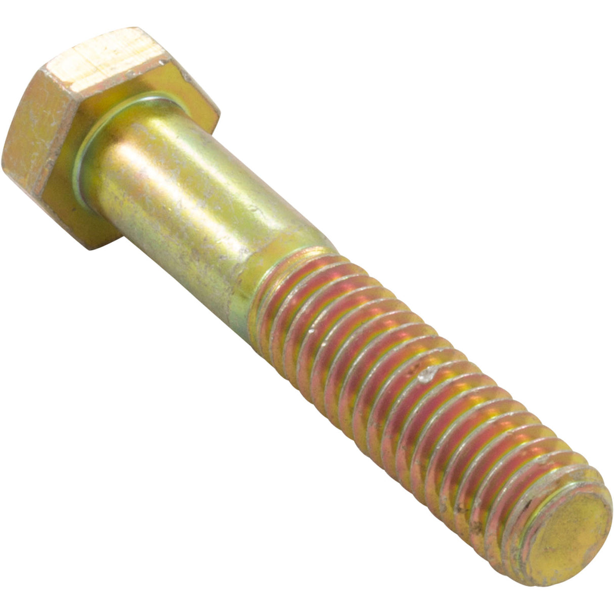 Bolt, Pentair Minimax/Minimax Plus/PowerMax, 3/8"-16 x 2" : 073739