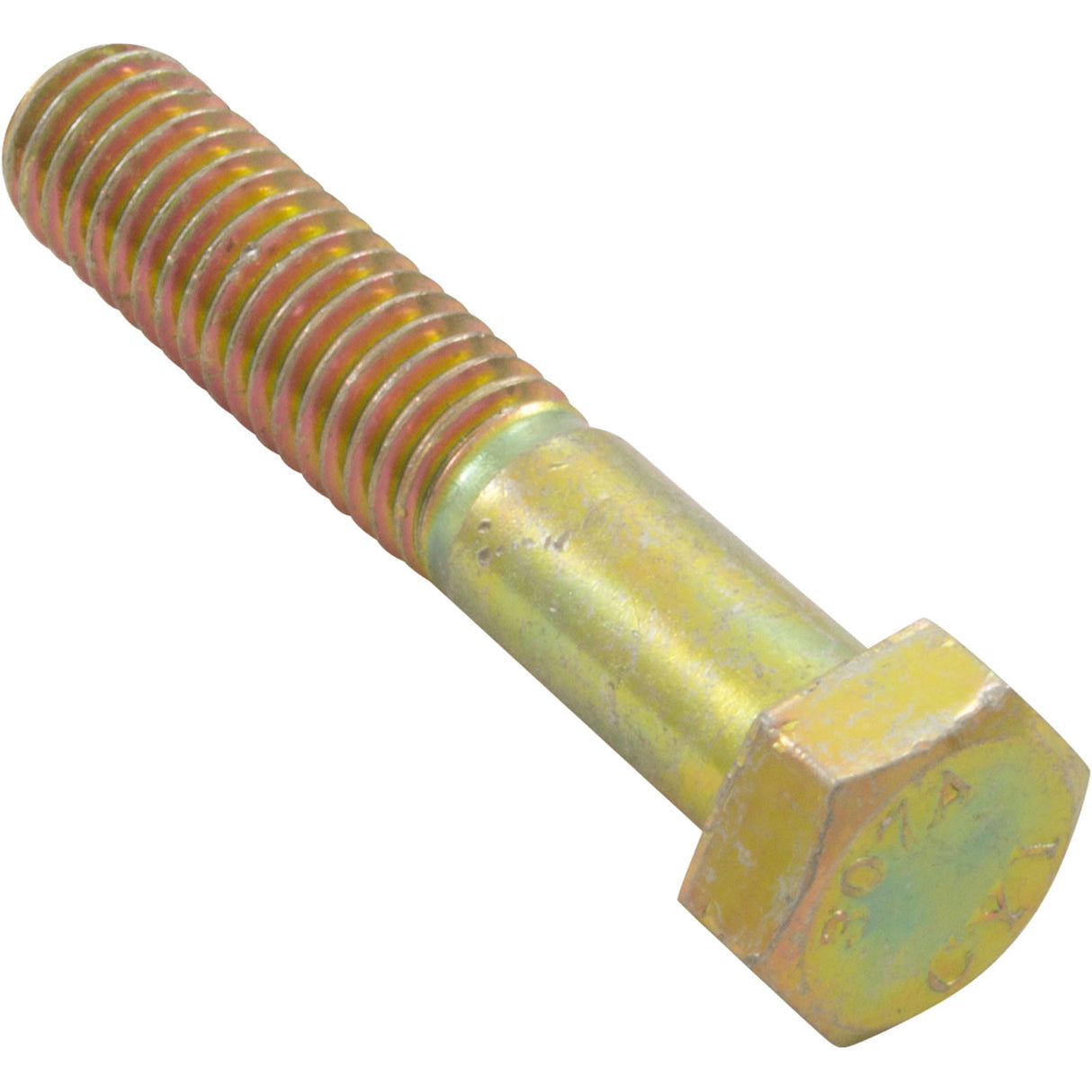 Bolt, Pentair Minimax/Minimax Plus/PowerMax, 3/8"-16 x 2" : 073739
