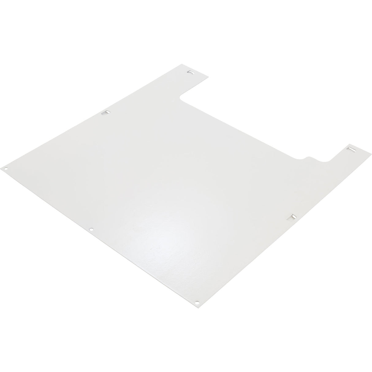 In/Out Panel, Pentair Minimax Plus : 073790 - Purex/Pentair - 073790 - PartsForSpas.com