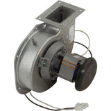 Blower, Hayward H-Series : FDXLBWR1930 - Hayward - 0610377072847 - PartsForSpas.com