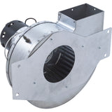 Blower/Control Board Kit, Hayward Low NOx, 115v : IDXL2BWR1931 - Hayward - 0610377050487 - PartsForSpas.com