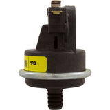 Pressure Switch, Raypak Versa/Gemini/RP2100 : 062237B - Raypak - 840891000853 - PartsForSpas.com