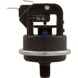 Pressure Switch, Raypak Versa/Gemini/RP2100 : 062237B - Raypak - 840891000853 - PartsForSpas.com