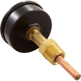 Temperature & Pressure Gauge Kit, Raypak Hydronic Heaters : 007399F - Raypak - 840891006947 - PartsForSpas.com