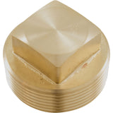 Unitherm Governor Plug, Raypak 206A/266A/336A/406A : 013738F - Raypak - 840891030607 - PartsForSpas.com