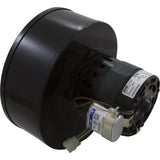 Combustion Air Blower, Raypak Model 989-2339, Right Hand : 007414F - Raypak - 007414F - PartsForSpas.com