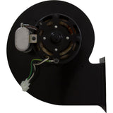 Combustion Air Blower, Raypak Model 989-2339, Right Hand : 007414F - Raypak - 007414F - PartsForSpas.com