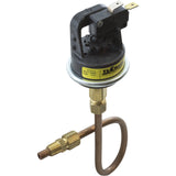 Pressure Switch, Raypak 53A, with Tubing : 003651F - Raypak - 003651F - PartsForSpas.com