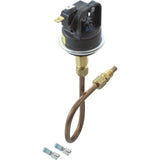 Pressure Switch, Raypak 53A, with Tubing : 003651F - Raypak - 003651F - PartsForSpas.com
