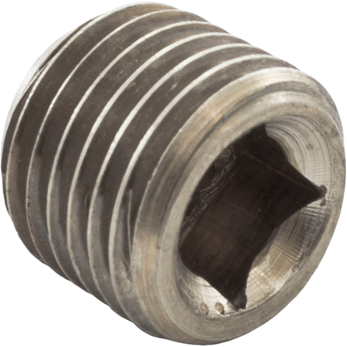 Header Plug, Raypak, 55B : 501329 - Raypak - 501329 - PartsForSpas.com