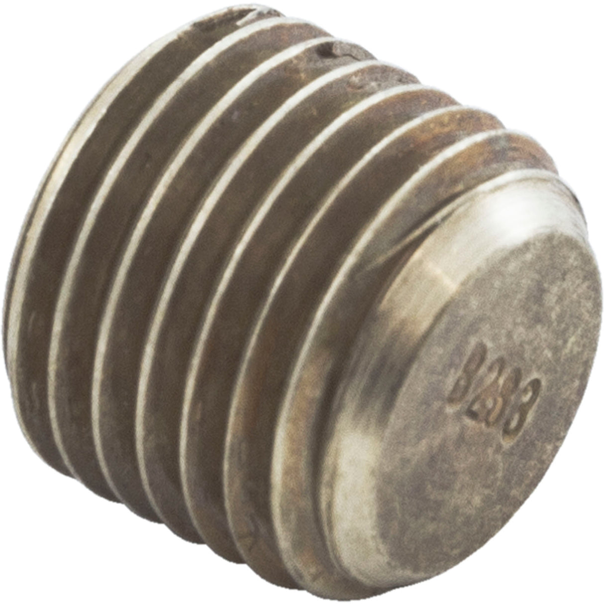 Header Plug, Raypak, 55B : 501329 - Raypak - 501329 - PartsForSpas.com