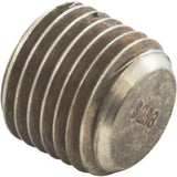Header Plug, Raypak, 55B : 501329 - Raypak - 501329 - PartsForSpas.com