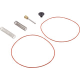 Bypass Valve Kit, Raypak 206A - 408A, Plastic : 016194F - Raypak - 840891039266 - PartsForSpas.com