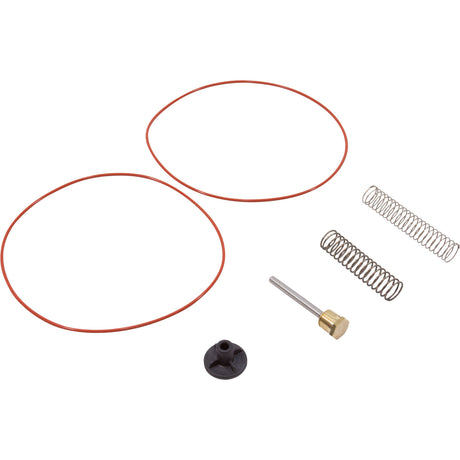 Bypass Valve Kit, Raypak 206A - 408A, Plastic : 016194F - Raypak - 840891039266 - PartsForSpas.com