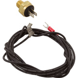 T-Stat Auto Reset 14, Raypak 105A/105B/151/153/155A/183A : 600893B - Raypak - 840891001409 - PartsForSpas.com