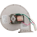 Blower, Raypak R185A/R185B : 008080F - Raypak - 840891002253 - PartsForSpas.com