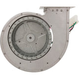 Blower, Raypak R185A/R185B : 008080F - Raypak - 840891002253 - PartsForSpas.com