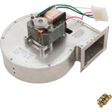 Blower, Raypak R185A/R185B : 008080F - Raypak - 840891002253 - PartsForSpas.com