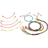 Wire Harness, Raypak RP2100, R185-R405, IID : 005270F - Raypak - 840891004738 - PartsForSpas.com