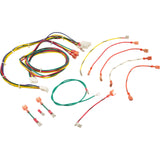 Wire Harness, Raypak RP2100, R185-R405, IID : 005270F - Raypak - 840891004738 - PartsForSpas.com