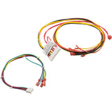 Wire Harness, Raypak 156A, Digital : 014885F - Raypak - 840891040774 - PartsForSpas.com
