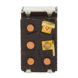 Toggle Switch, Raypak, 3A/6A, SPST, Black : 100-10000442