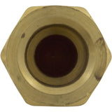 Thermowell, Lochinvar Boilers/Heaters, 3/8" x 1/2"mpt : 100233264