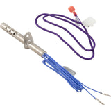 Igniter, Lochinvar Boilers/Heaters, With Gasket : 100165919 - Lochinvar, LLC - 100165919 - PartsForSpas.com