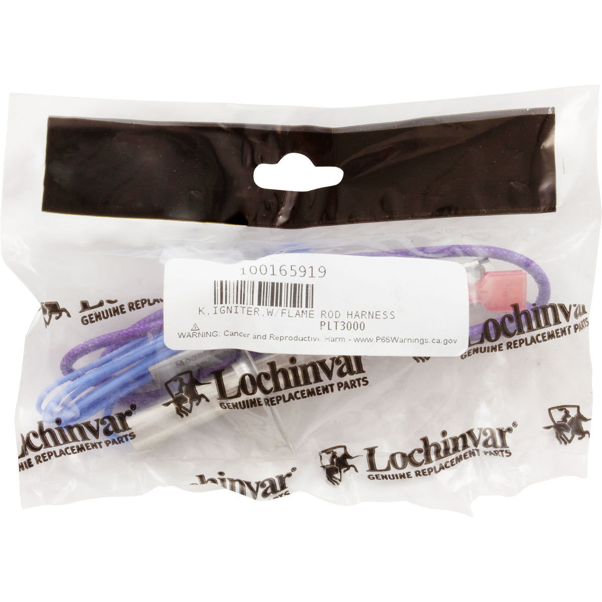 Igniter, Lochinvar Boilers/Heaters, With Gasket : 100165919 - Lochinvar, LLC - 100165919 - PartsForSpas.com