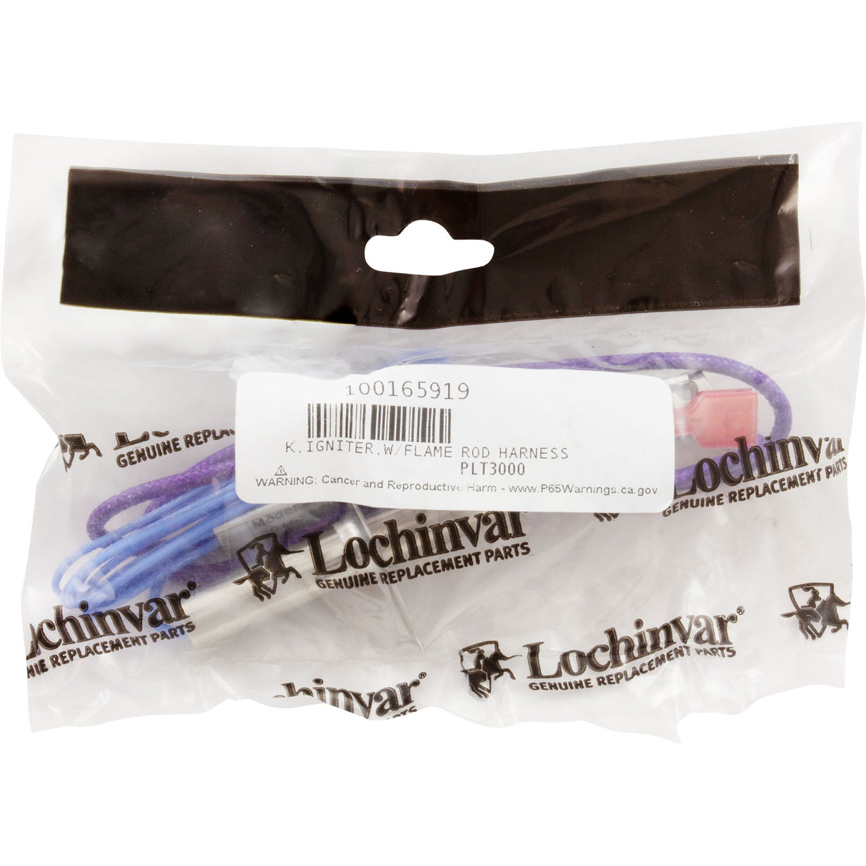 Igniter, Lochinvar Boilers/Heaters, With Gasket : 100165919 - Lochinvar, LLC - 100165919 - PartsForSpas.com