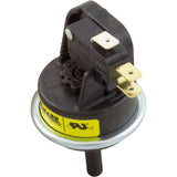 Water Pressure Switch Kit, Lochinvar EnergyRite Heater : 100166256 - Lochinvar - 100166256 - PartsForSpas.com